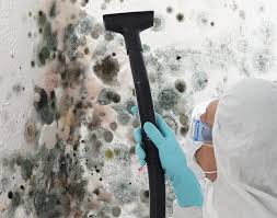 Mold Odor Removal Services in Marlton, NJ